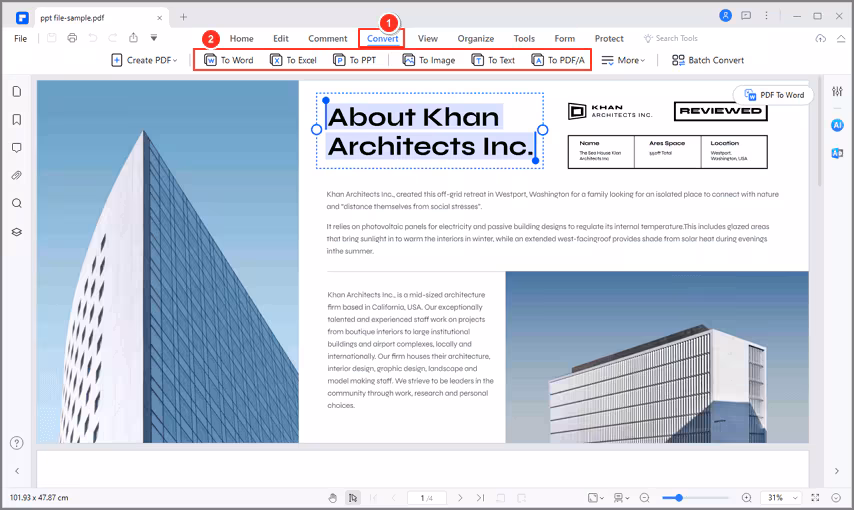 convert PDF to image